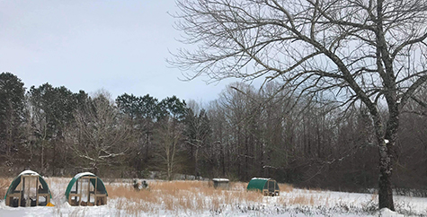 Snowy Tractors