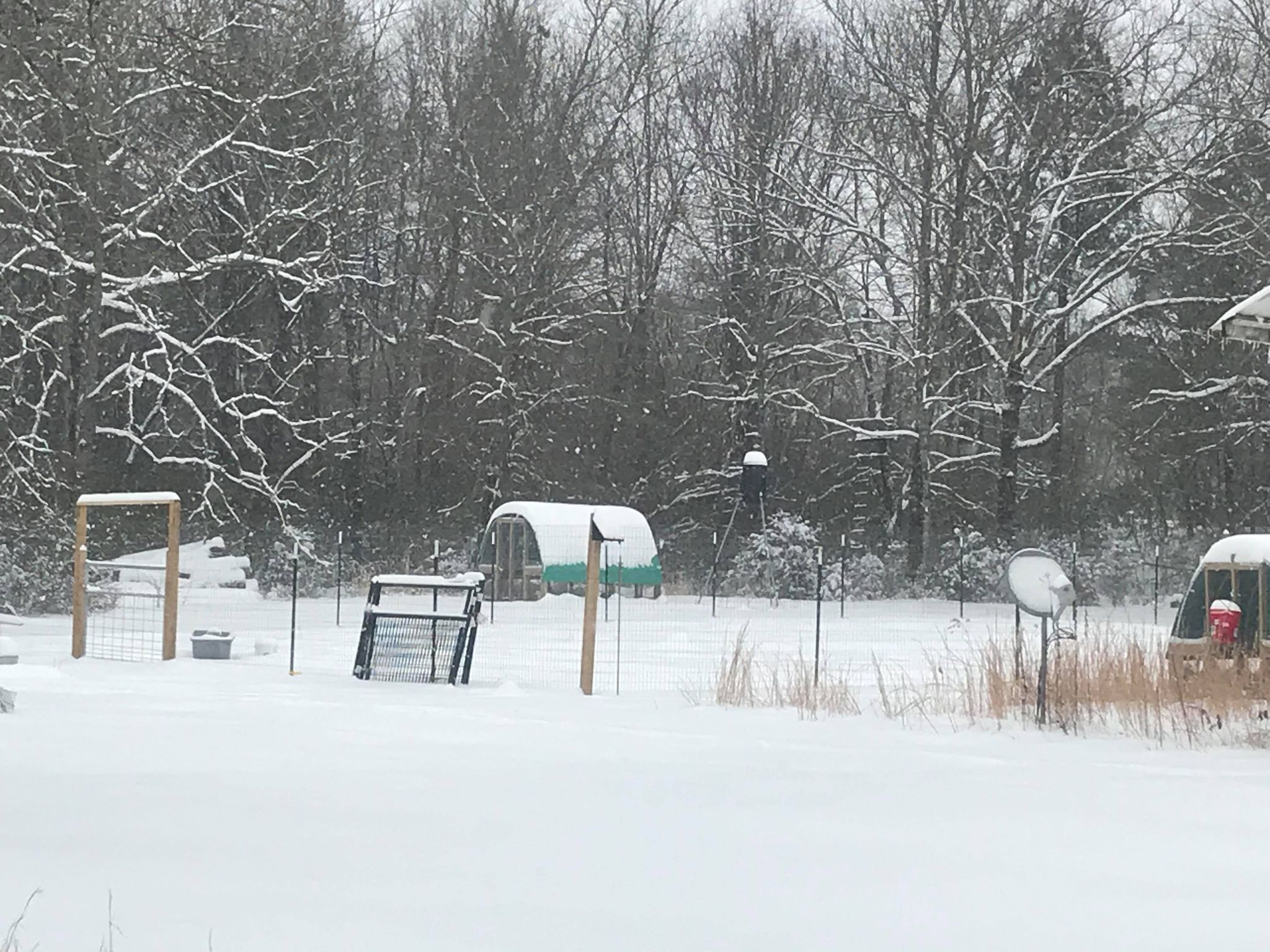 Snowy Farm